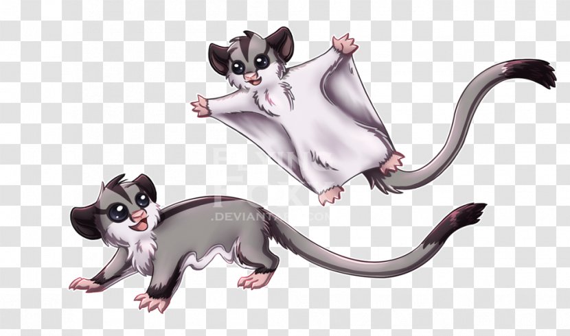 Sugar Glider Kitten Drawing Clip Art - Cliparts Transparent PNG