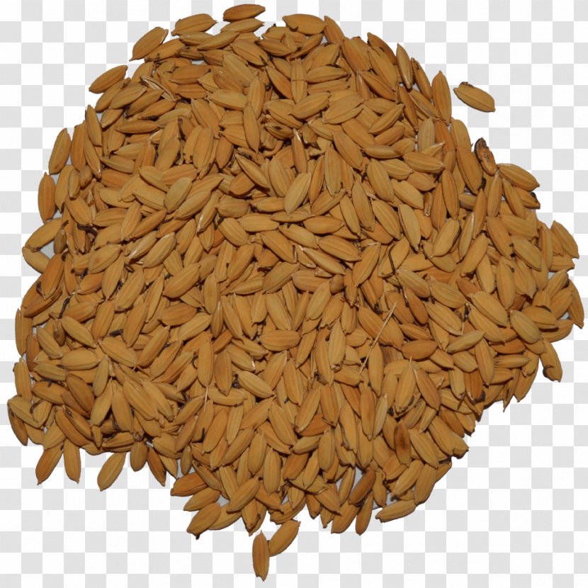 Oat Malt Vegetarian Cuisine Spelt Cereal - Rice Wheat Transparent PNG
