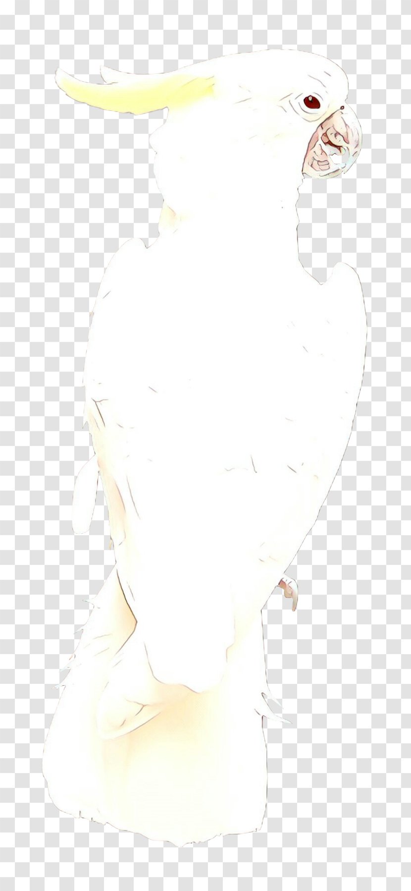 Nose White - Neck Drawing Transparent PNG
