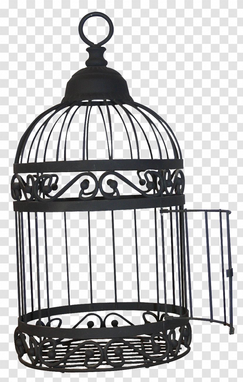 Birdcage Domestic Canary - Animation - Open The Black Bird Cage Transparent PNG