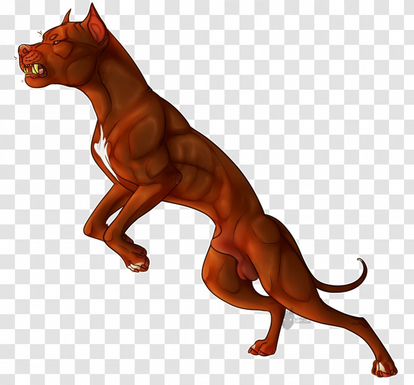 Dog Breed Pharaoh Hound Tail Animal - Carnivoran - Loyal Transparent PNG