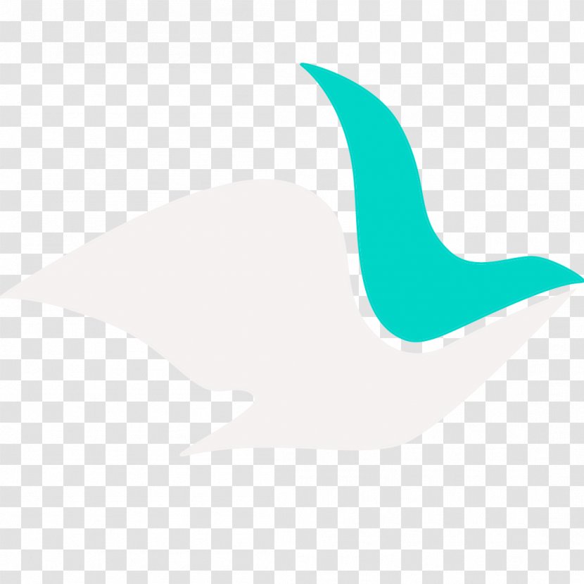 Dolphin Marine Mammal Cetacea Porpoise - Create Transparent PNG