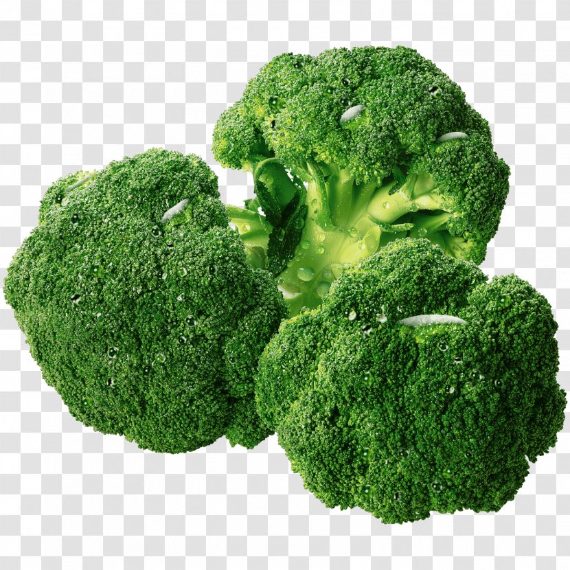 Broccoli - Vegetable - Leaf Transparent PNG