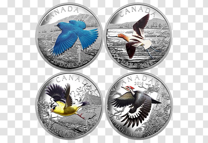 Coin Bird Migration Canada Silver - United States Ten-dollar Bill Transparent PNG