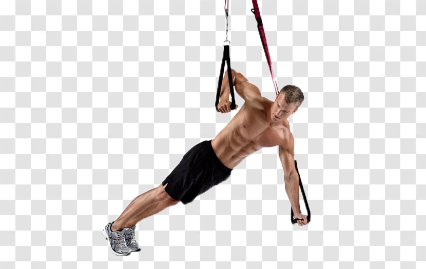 Suspension Training Fitness Centre Exercise Equipment Physical - Watercolor - Suspended Transparent PNG