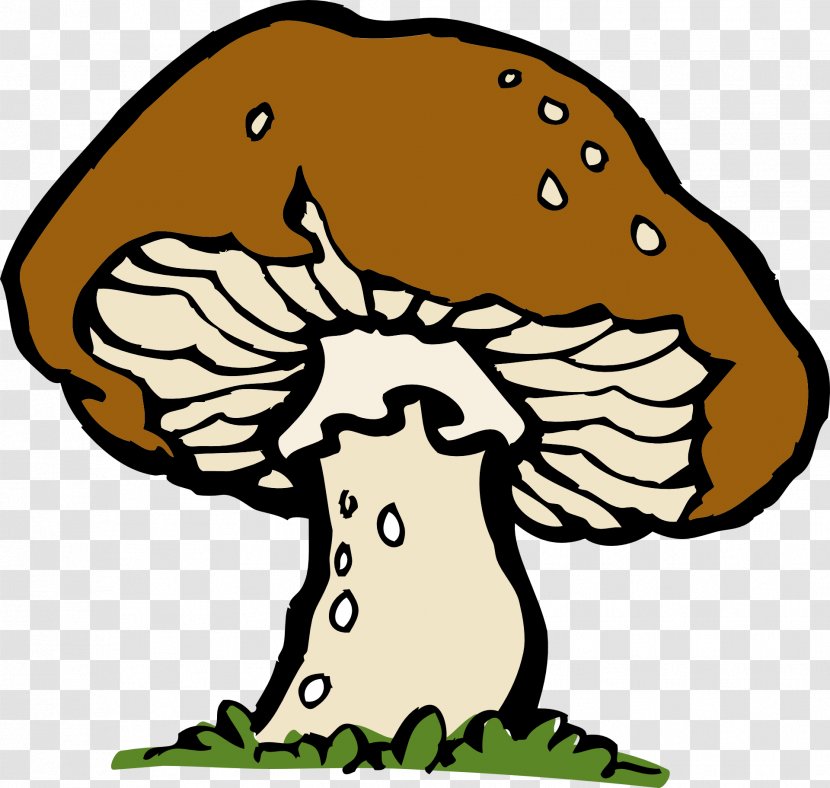 Mushroom Morchella Free Content Clip Art - Food - Wild Mushrooms Transparent PNG