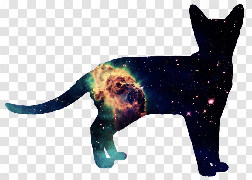 Cat Dog Calvin And Hobbes - Like Mammal - Cosmos Transparent PNG