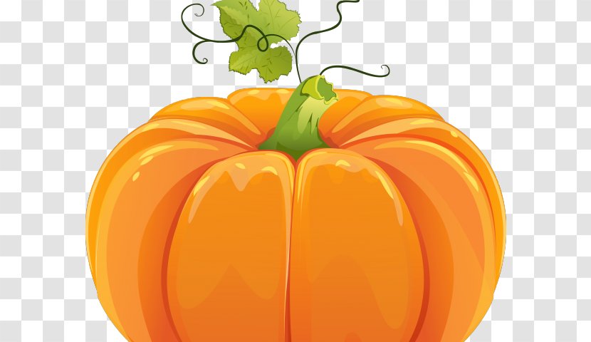 Field Pumpkin Vector Graphics Clip Art - Potato And Tomato Genus - Snake In Sand Transparent PNG