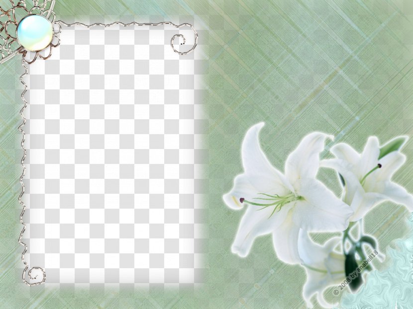 Flower - Paper - White Frame Transparent Transparent PNG