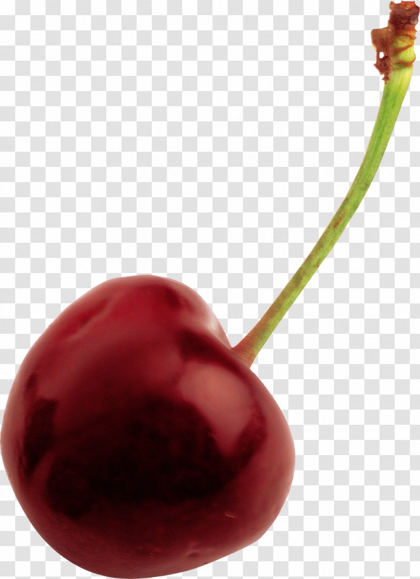 Sweet Cherry Cerasus Berry - Peppers Transparent PNG
