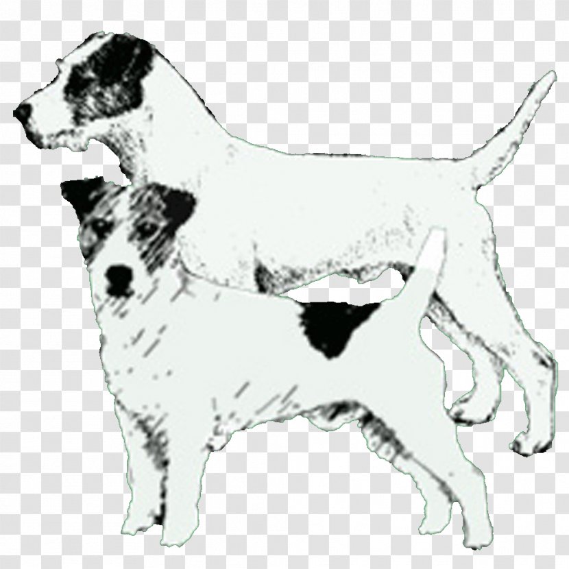 Dog Breed English Foxhound Companion - Jack Russell Transparent PNG