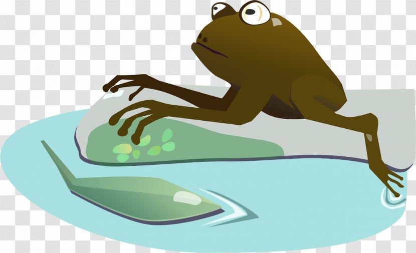 Clip Art Openclipart Tree Frog Illustration - Wetland - Cliparts Transparent PNG