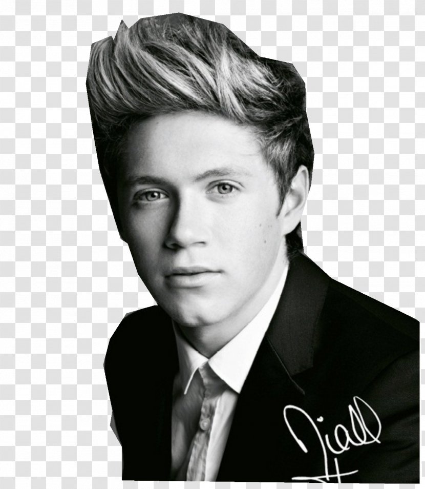 Niall Horan Take Me Home Tour Mullingar One Direction - Silhouette Transparent PNG