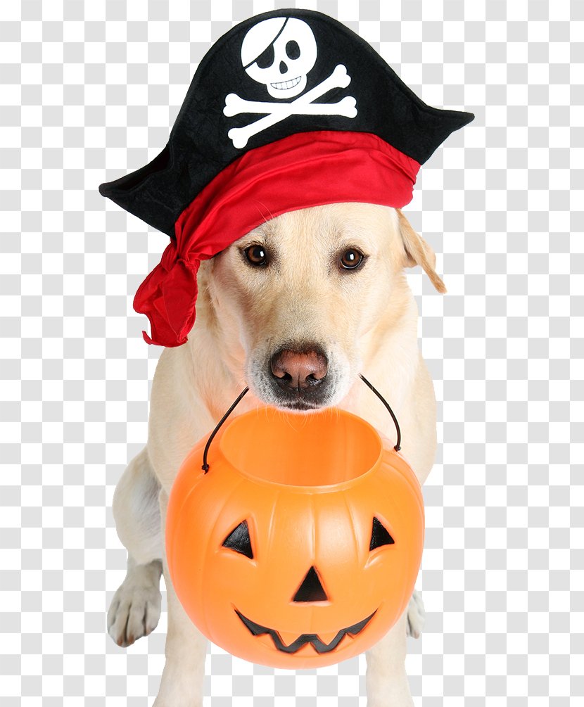 The Dog Who Saved Halloween Bad Pets: True Tales Of Misbehaving Animals Pets Save Christmas! - Holiday - Pirate Transparent PNG