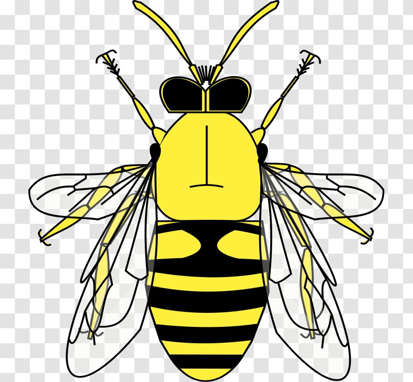 Honey Bee Heraldry Pollen Clip Art - Fly Transparent PNG