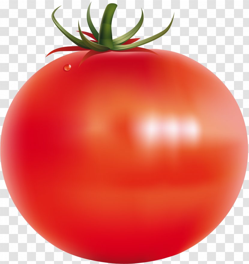 Vegetable Plum Tomato Food Fruit - Gastrointestinal Transparent PNG