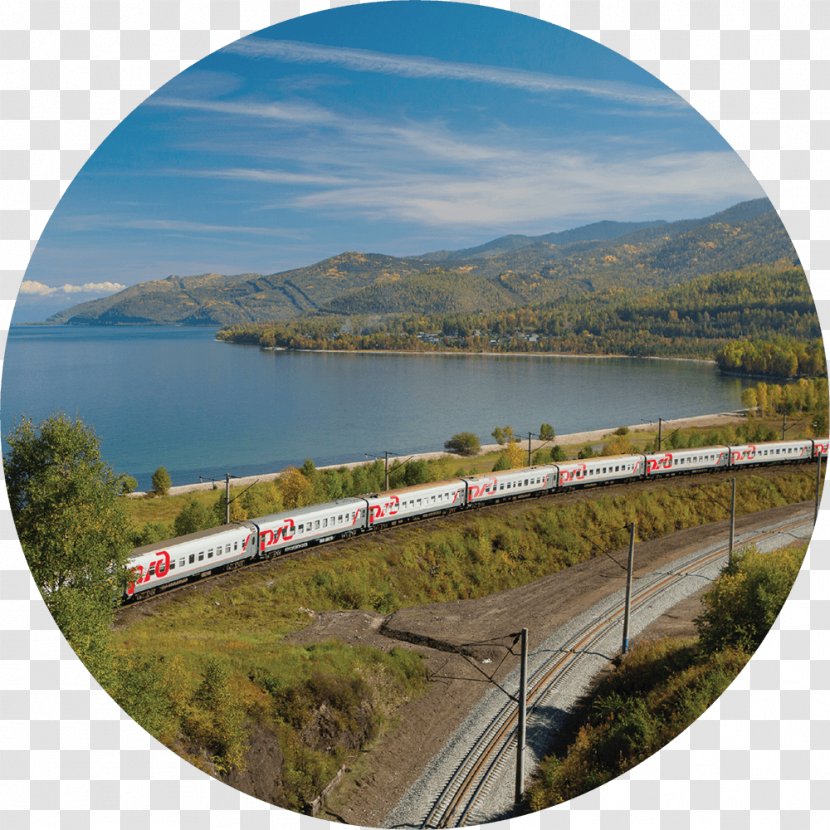 Holambra Travel Tourism Curitiba Engagement - Transsiberian Railway Network Transparent PNG