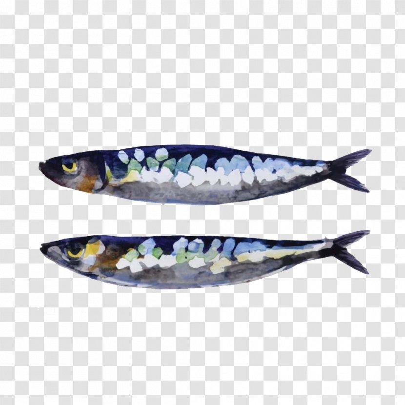Sardine European Pilchard Fish Clip Art - Painting - Hand Painted Material Transparent PNG