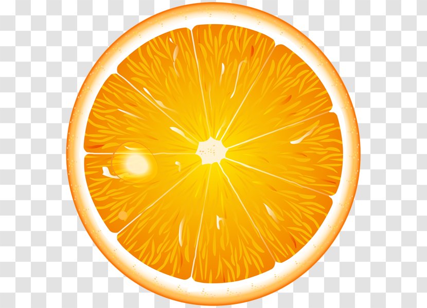 Clip Art Openclipart Vector Graphics Image - Valencia Orange - Apelsin Transparency And Translucency Transparent PNG