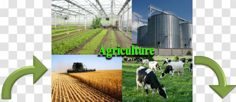 Renewable Energy Agriculture Farm Non-renewable Resource - Outdoor Structure Transparent PNG