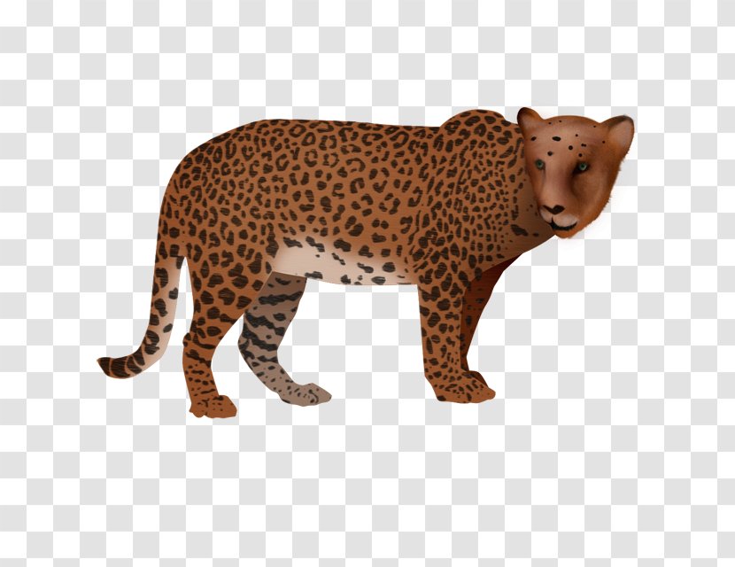 Leopard Cheetah - Carnivoran Transparent PNG