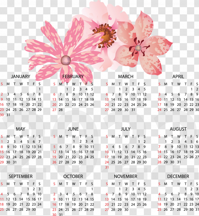 Calendar Flower Meter Transparent PNG