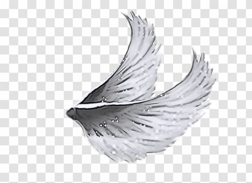 Feather - Bird - Fashion Accessory Transparent PNG