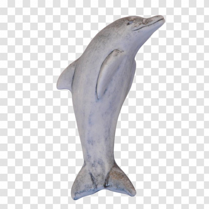 Common Bottlenose Dolphin Tucuxi Short-beaked - Mammal Transparent PNG