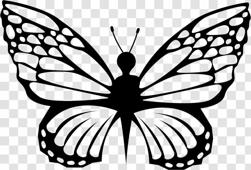 Butterfly Shape - The Delicacy Transparent PNG
