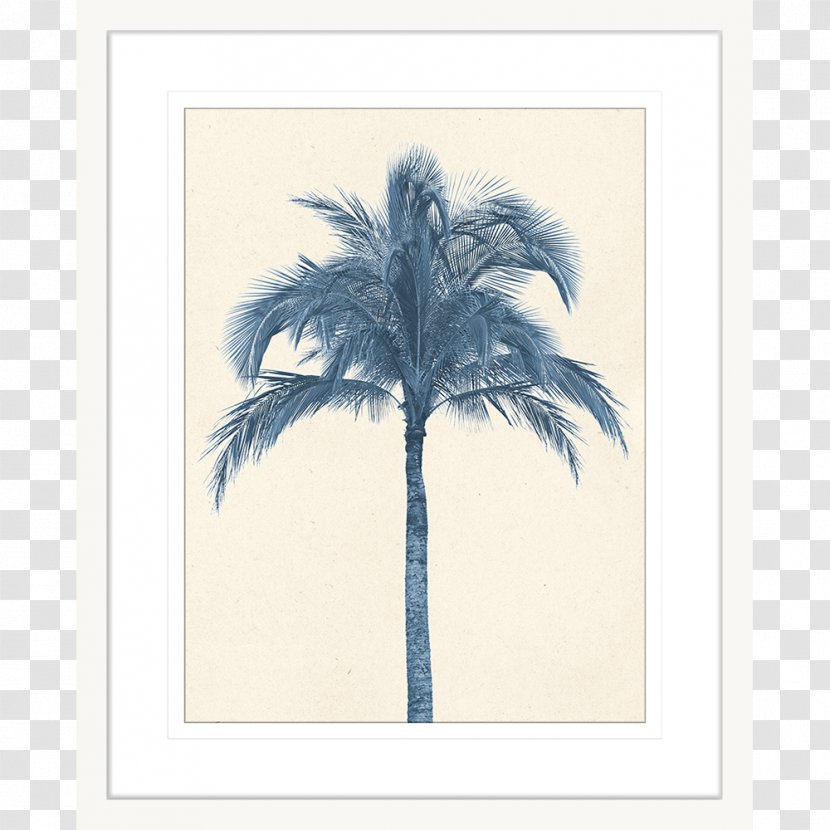 Arecaceae Coconut Tree Stock Photography Date Palm Transparent PNG