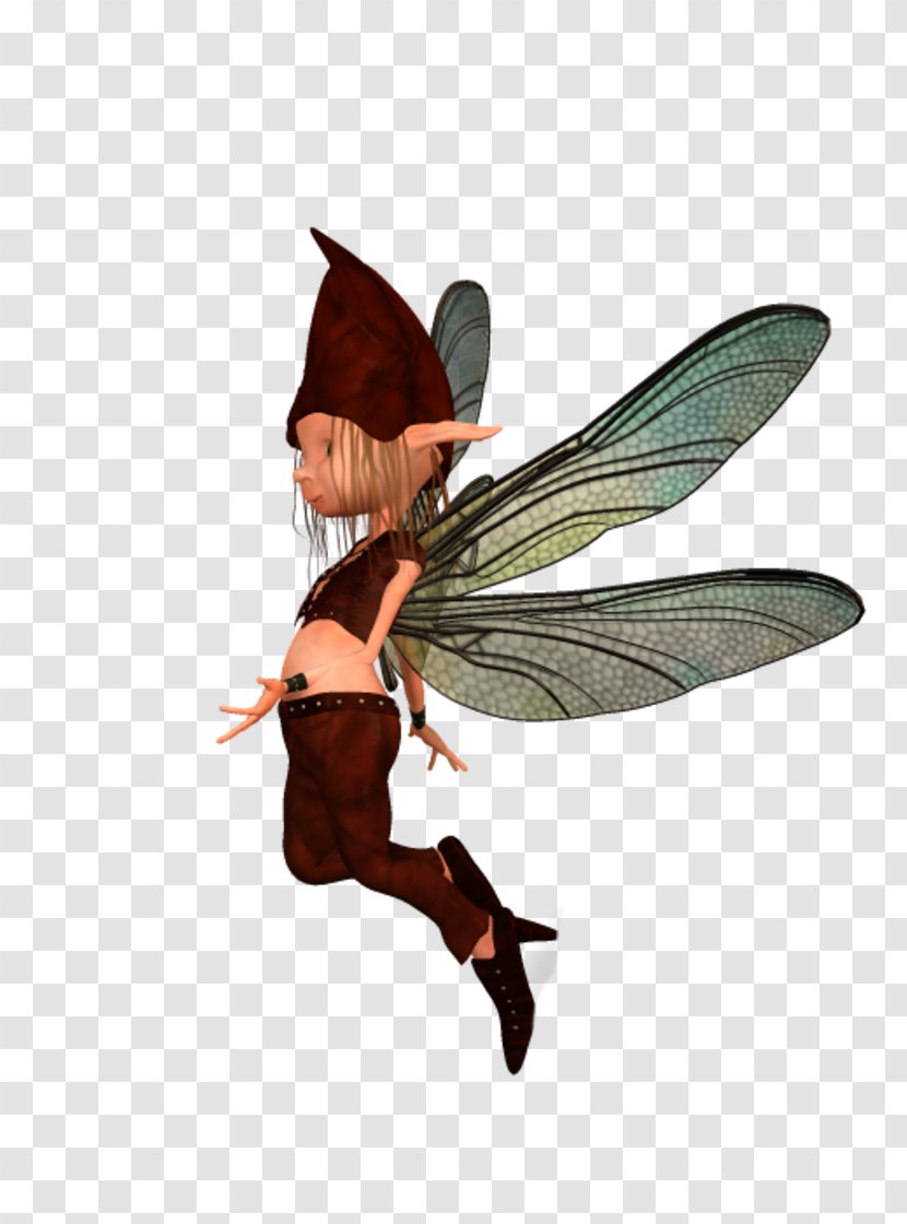 Fairy - Membrane Winged Insect Transparent PNG