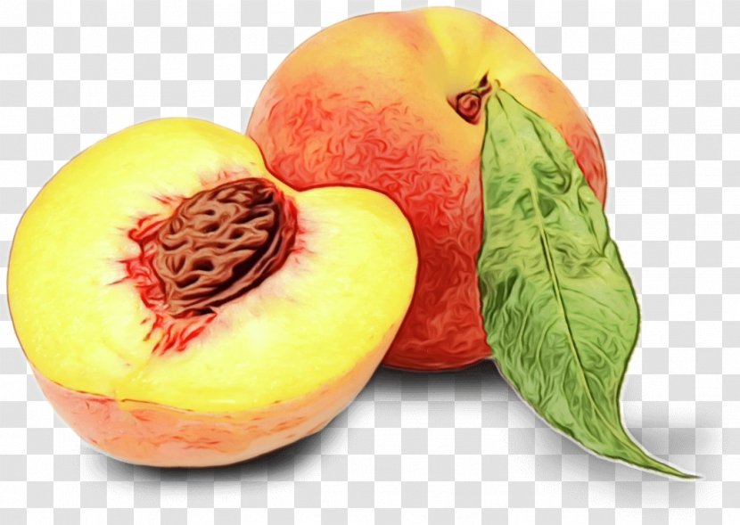 Peach Flower - Berries - Perennial Plant Transparent PNG