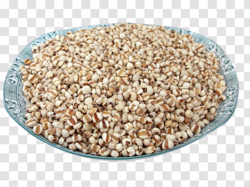 Adlay Congee Rice Five Grains Cereal - Adzuki Bean - HD Flower Bowl Of Barley Transparent PNG