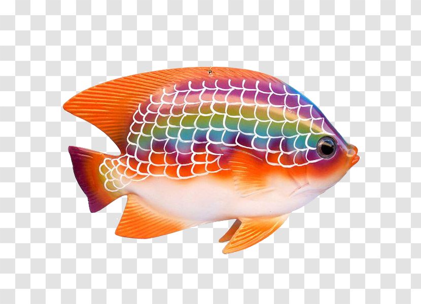 Tropical Fish Ornamental Guppy - Animal - Rainbow Transparent PNG