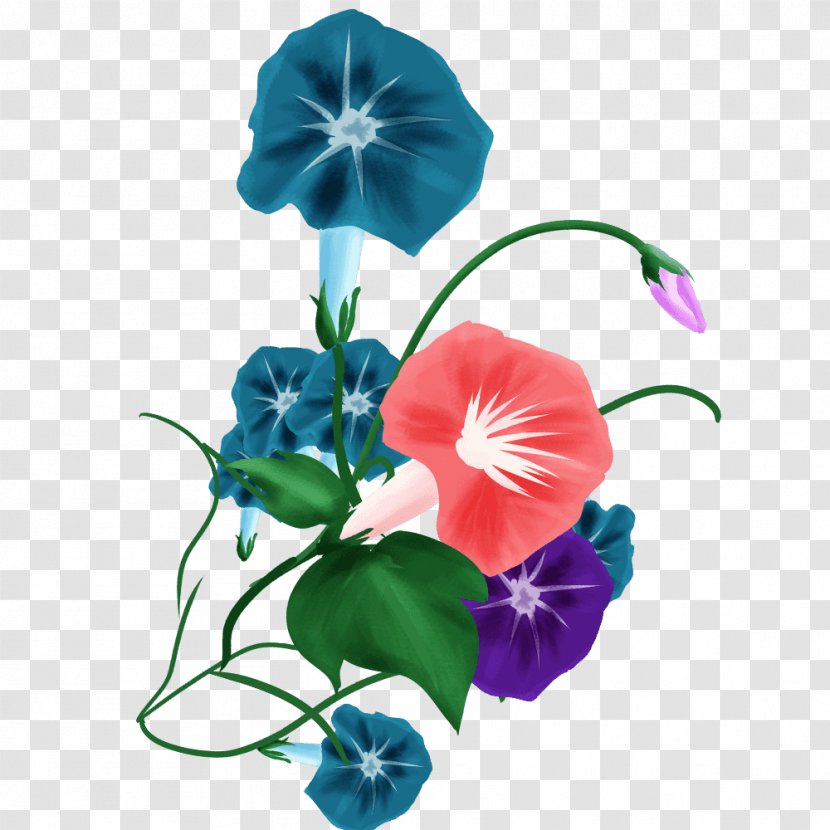 Japanese Morning Glory Annual Plant Stem Flower - Violet Family - Viola Transparent PNG