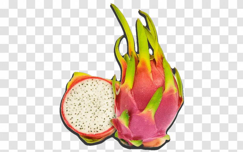 Pitaya Fruit Food Central America Mexico - Diet - Plant Transparent PNG