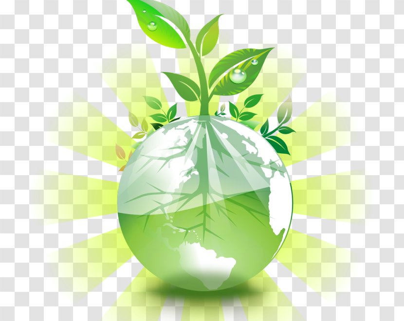Earth Clip Art Image Vector Graphics Green - Plant Transparent PNG
