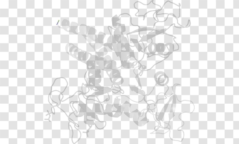 Drawing Line Art White /m/02csf Clip - Tree - Acetolactate Synthase Transparent PNG