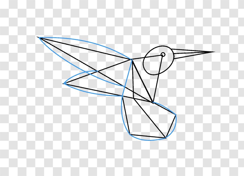 Hummingbird Drawing Line Art How-to Clip - Help - Irregular Lines Transparent PNG