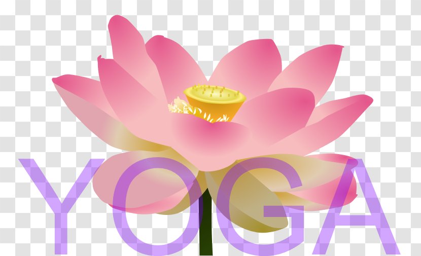 Lotus Cars Clip Art - Yoga LOTUS Transparent PNG