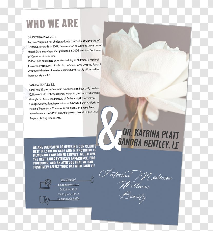 Brochure - Text - Design Edition Trial Transparent PNG