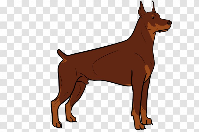 Dobermann German Pinscher Miniature Manchester Terrier Ancient Dog Breeds - DOBERMAN PINSCHER Transparent PNG