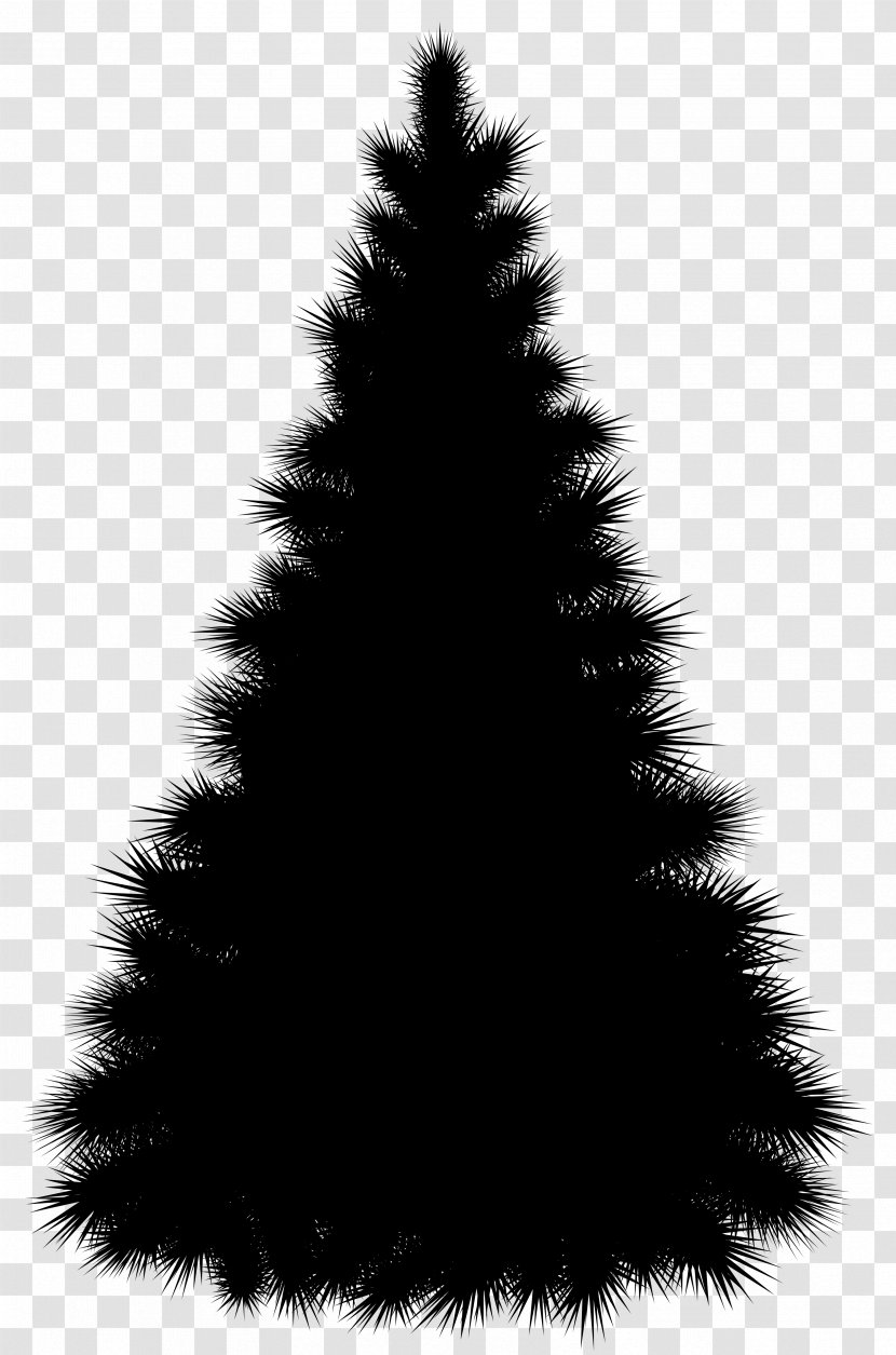 Spruce Christmas Tree Fir Day - Blackandwhite Transparent PNG