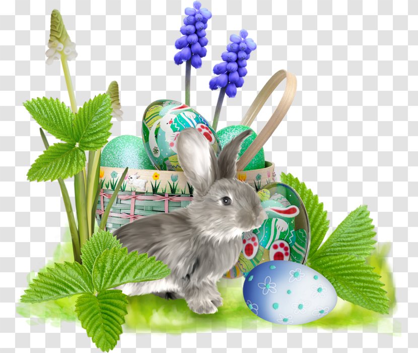 Easter Bunny Egg Clip Art - Frame Transparent PNG