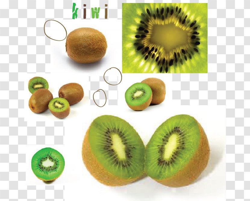 Kiwifruit Water Bottles India Plastic Infuser - Fruit Exotique - Fruits Salad Transparent PNG