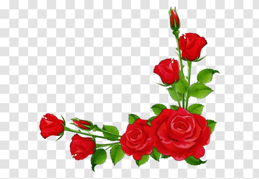 Red Watercolor Flowers - Flowering Plant - Hybrid Tea Rose Floristry Transparent PNG