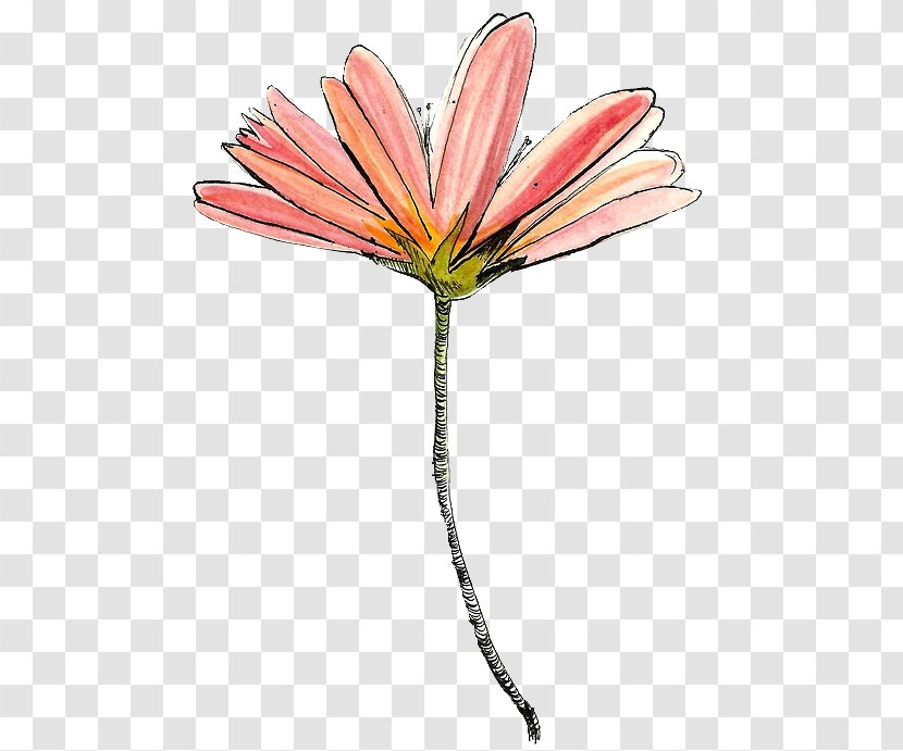 Drawing Flower YouTube Art - Cartoon - Watercolor Succulent Transparent PNG