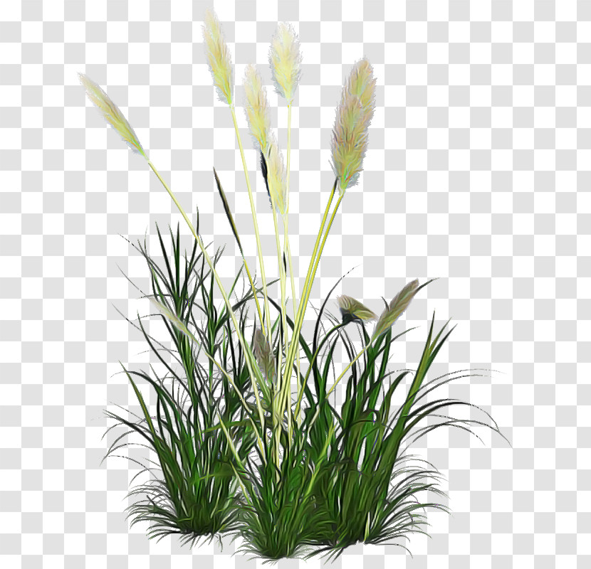 Artificial Flower Transparent PNG