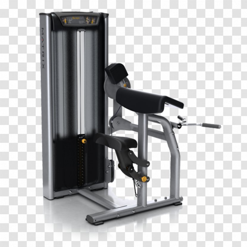Biceps Curl Exercise Machine Fitness Centre - Gym - Arm Transparent PNG