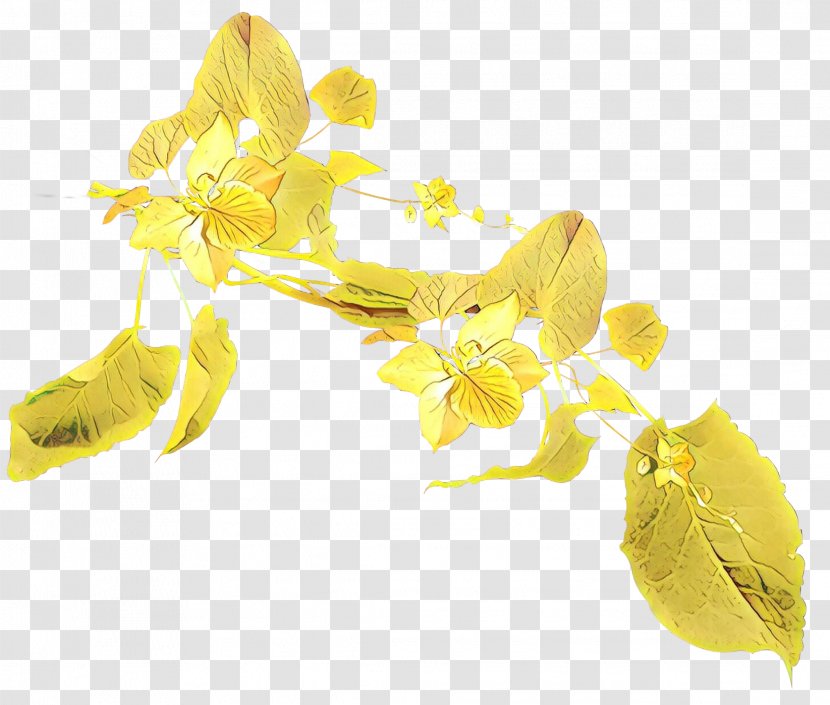 Yellow Flower Plant Petal Flowering - Forsythia Transparent PNG